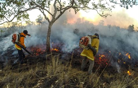 ALFA NT | Arnhem Land Fire Abatement Northern Territory