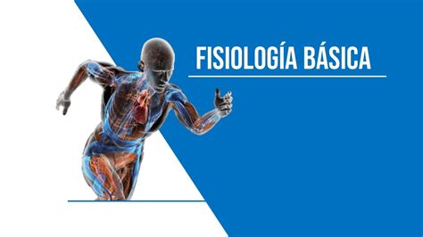 Diapositivas Introduccion Y Fisiolog A S Movimiento