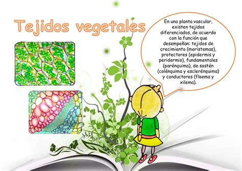 Cartilla Biología Vegetal CALAMEO Downloader