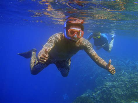 Menjangan Island Snorkeling Tour BaliDiscover