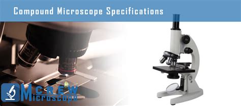 Electron Microscope vs Compound Microscope - Microscope Crew