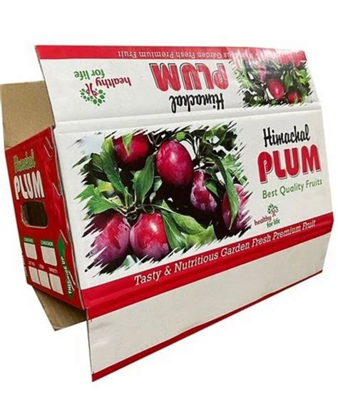 Single Wall 3 Ply Digital Printing Cmyk Plum Printed Corrugated Box