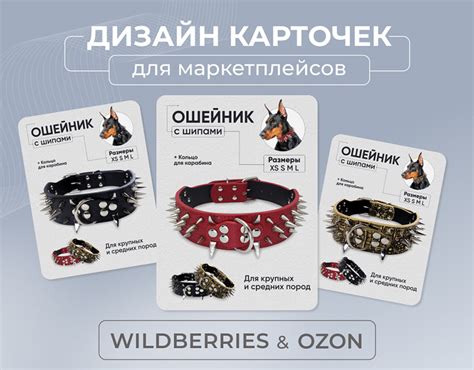 Товарная карточка для WB Инфографика Ошейник on Behance