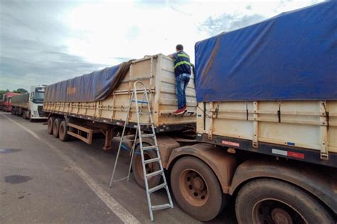 Sefa Apreende Toneladas De Soja Em Dom Eliseu