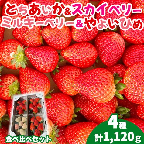 【楽天市場】【ふるさと納税】【先行受付】4種のいちご食べ比べセット 約280g×4パック （とちあいか・スカイベリー・ミルキーベリー・やよい