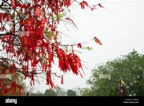 Chinese New Year Wishing Tree Hi Res Stock Photography And Images Alamy