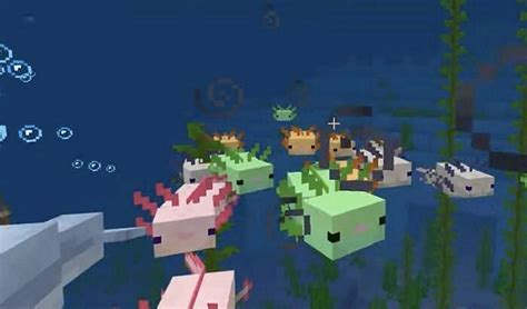 How To Tame Axolotls In New Minecraft 117 Caves And Cliffs Update