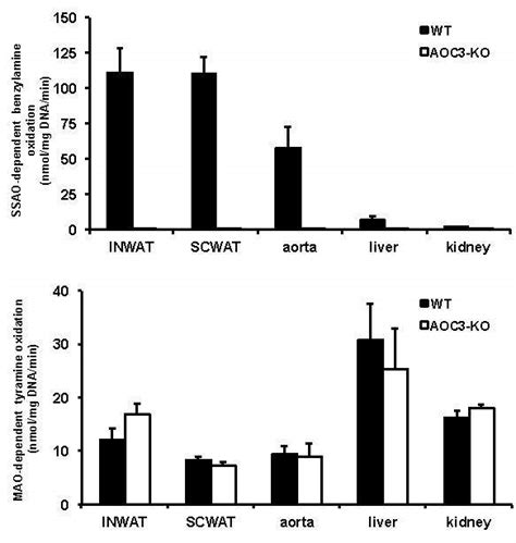 Hypercholesterolemia Of Obese Mice With Deletion Of Vascular Adhesion