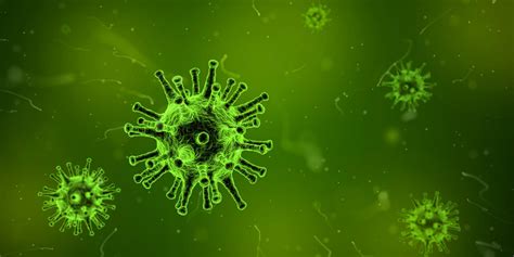 Bacteria Wallpapers - Top Free Bacteria Backgrounds - WallpaperAccess