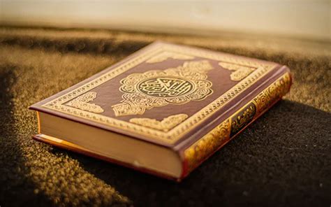 Pentingnya Tolong Menolong Dalam Islam Berikut Ayat Ayat Al Quran