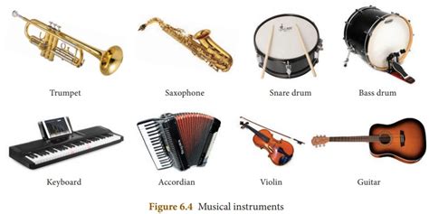 Musical Instruments - Sound | Chapter 6 | 8th Science