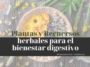 Plantas Para El Bienestar Digestivo Luis Garcia Vegan Food