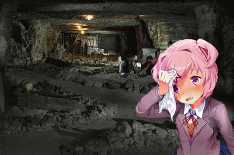 [Spoiler in Title] Finally getting a sequel to DDLC only to remember it ...