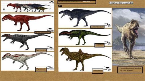 Carcharodontosauridae - Alchetron, The Free Social Encyclopedia