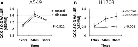 Results Of Cck 8 Cell Proliferation Assay With A A549 And B H1703