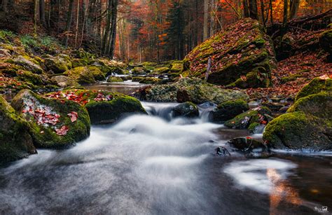 Bach389 Foto And Bild Landschaft Bach Fluss And See Bachläufe Bilder Auf Fotocommunity