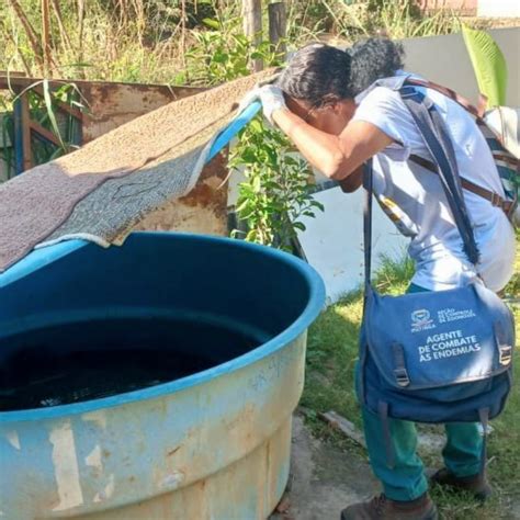 Dengue Brasil J Tem Quase Mortes E Mais De Mil Casos Veja