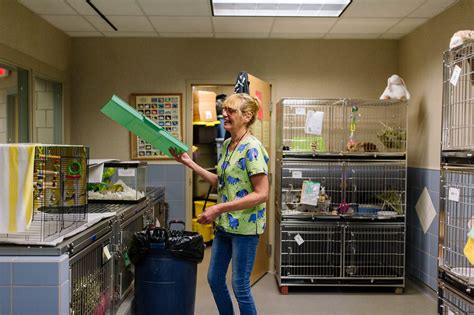 Your Neighborhood: Cleveland Animal Protective League - Tremont, Ohio
