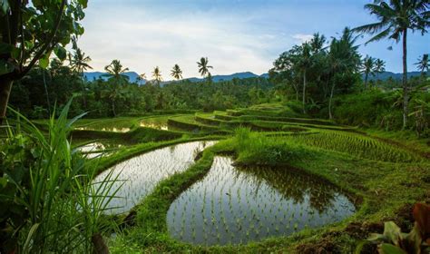 Indonésie bali et gili avec des enfants L aventure des petits Bali