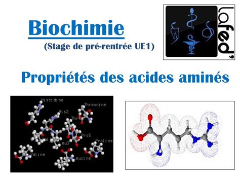 PDF Biologie Moléculaire Propriétés ioniques des acides