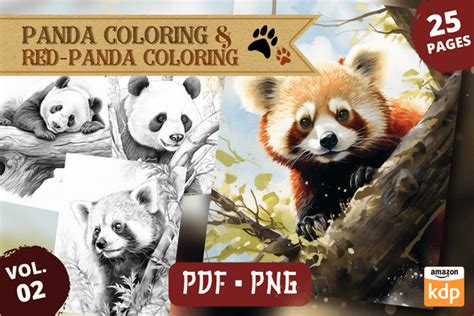 Panda Red Panda Coloring Pages Vol Graphic By Sahad Stavros