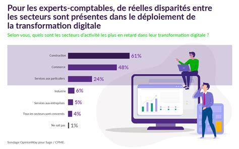 La Transformation Digitale Des TPE Etude Sage Advice France