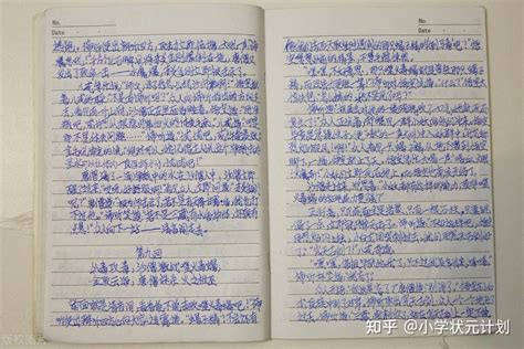 小学生描写春天的作文300字，务必帮孩子收藏！ 知乎