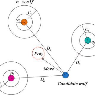 Schematic of grey wolf pack hunting | Download Scientific Diagram