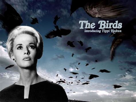 The Birds - Alfred Hitchcock Wallpaper (2422003) - Fanpop