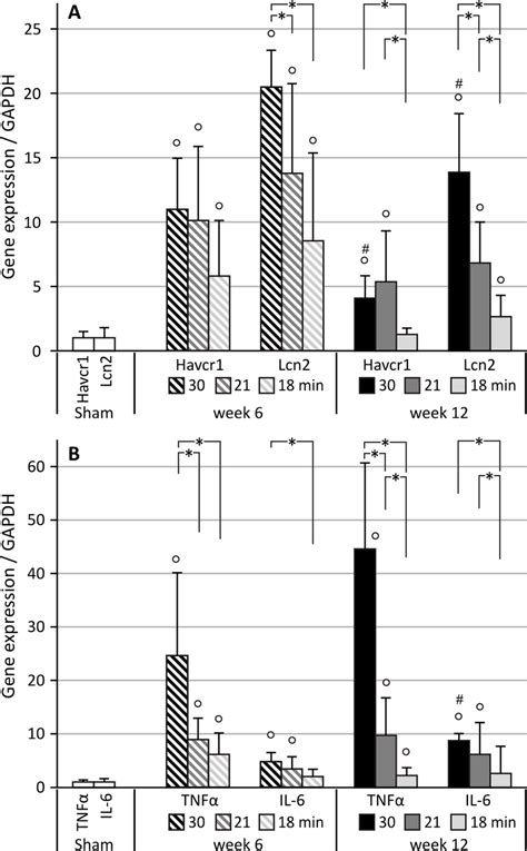 Relative Quantification Of Long Term Iri Induced Expression Of Tubular