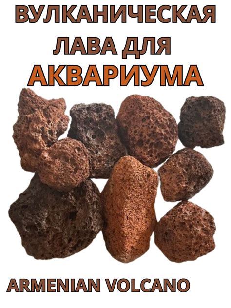 Вулканическая лава для дизайна аквариума и сада - купить с доставкой по ...
