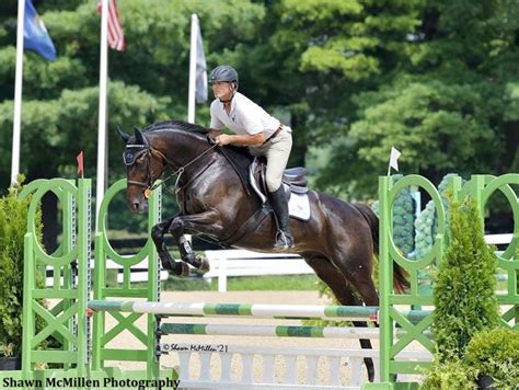 Zenyattas Offspring Shining In Show Ring Paulick Report Latest