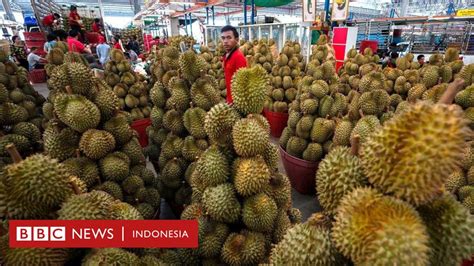 Mengapa Durian Membuat Harga Kopi Dunia Lebih Mahal BBC News Indonesia