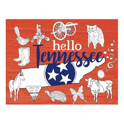 Tennessee State Symbols Volunteer State Images Postcard | Zazzle ...