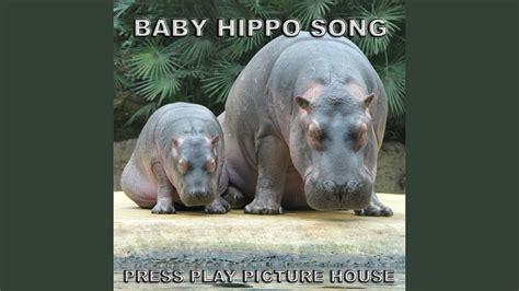 Baby Hippo Song - YouTube