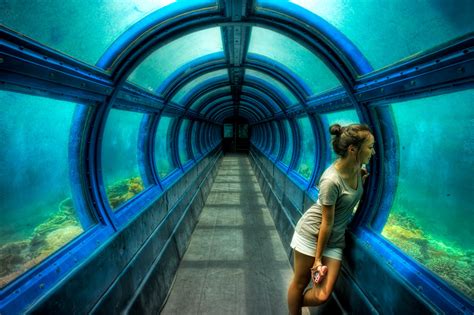 Last Flight Out Photography: Underwater Tunnel