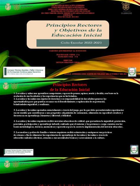 Principios Rectores Y Objetivos De La Educación Inicial ExposiciÓn