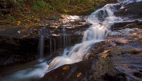 Coorg Waterfalls | Prix Constantin