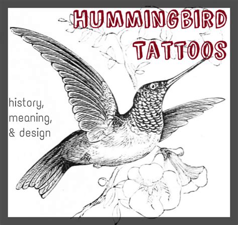 Hummingbird And Lotus Flower Tattoo Meaning | Best Flower Site