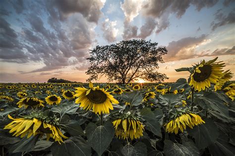 1928 best North Dakota images on Pholder | Abandoned Porn, Earth Porn