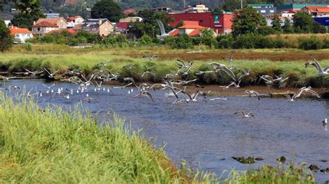 Eliminan Un Punto De Vertido De Aguas Residuales Al R O Lagares