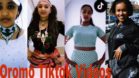 Sirba Afaan Oromoo Haaraa Oromo Music Oromotiktok Youtube