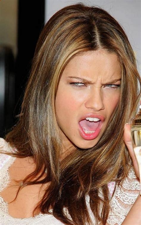 Light Brown Hair With Blonde Highlights Blonde Highlights Honey Blonde Brown Hair With