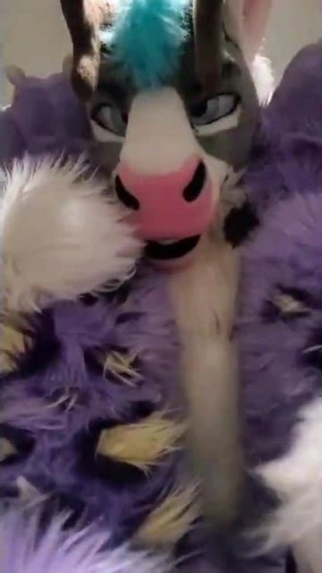 Fursuit Fuck Video ThisVid