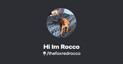 Hi Im Rocco Instagram Tiktok Linktree