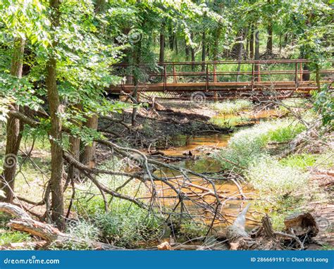 Sunny View Of The Lanscape Of Martin Nature Park Stock Image Image Of