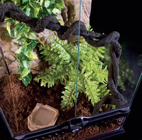 Hagen Exo Terra Rainforest Habitat Kit Small V