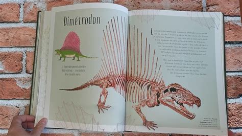 Anthologie Illustr E Des Dinosaures Youtube