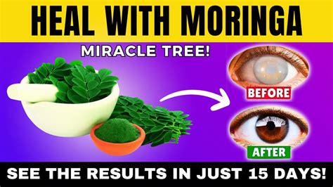 What Happened To Your Body When You Eat Moringa Powder Every Day Youtube