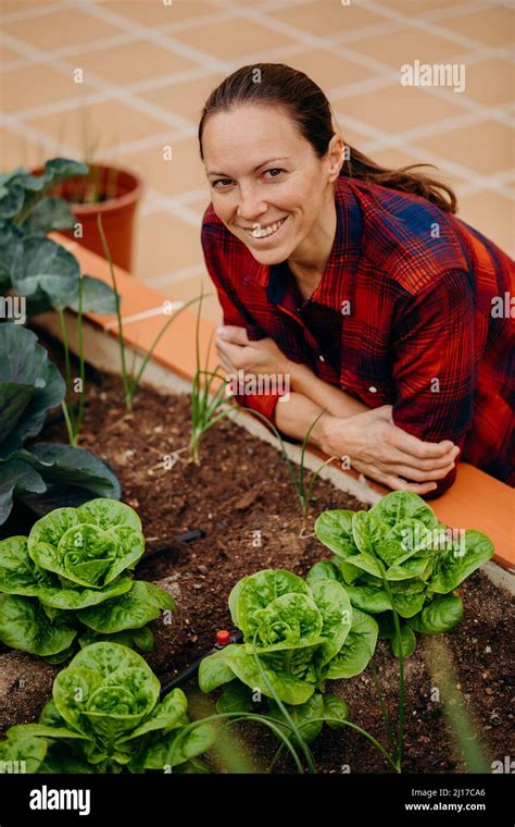 Elevated Courtyard Garden Hi Res Stock Photography And Images Alamy